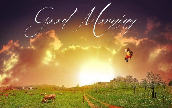 Wonderful Good Morning-WG172