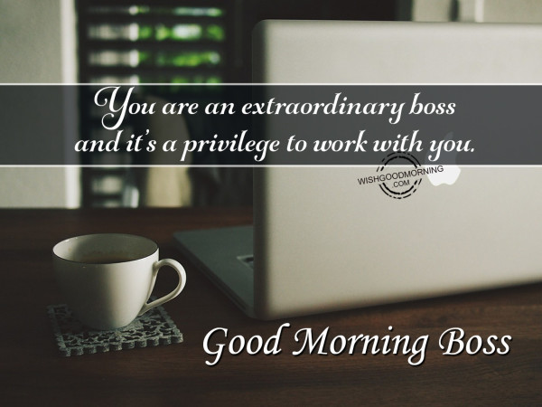You Are An Extraordinary Boss Good Morning-wm111
