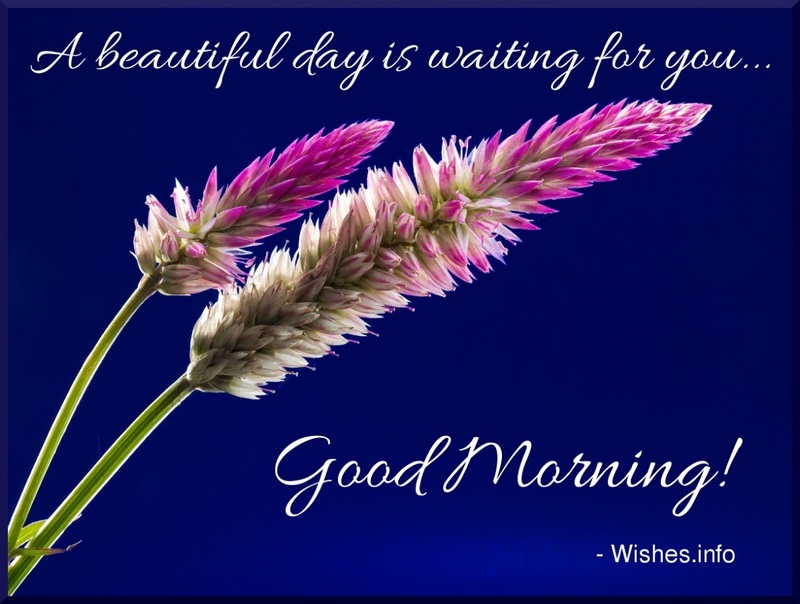 A Beautiful Day Is Waiting Good Morning
