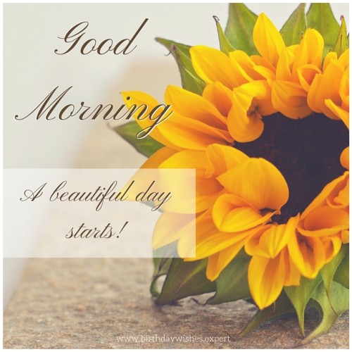 A Beautiful Day Starts - Good Morning-wg015001