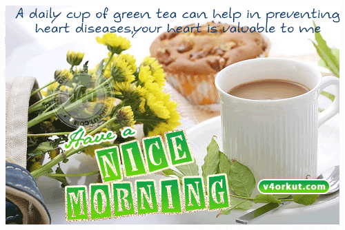 A Daily Cup Of Green Tea Can Help-wg01501