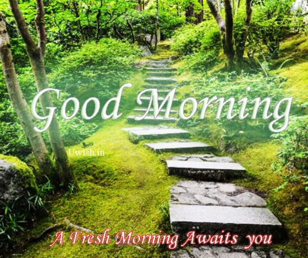 A Fresh Morning Awaits You-wg0501