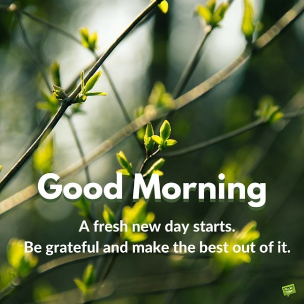 A Fresh New Day Starts - Good Morning-wg01701