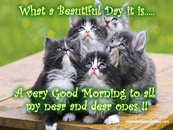 A Very Good Morning To All My Dear-wb78003
