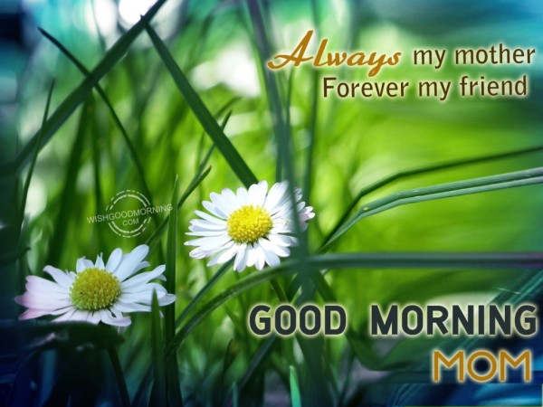 Always My Mother Forever My friend-Good Morning-wg9503