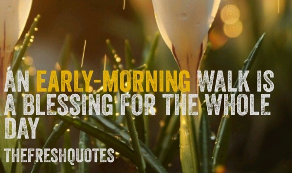 An Early Morning Walk-wg3601