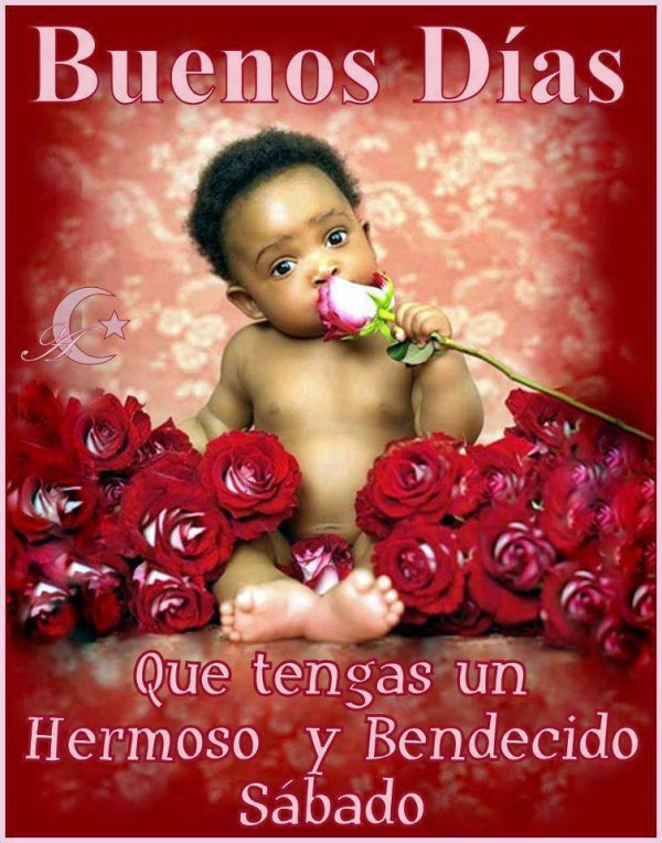 Baby Wish You Buenos Dias With Flower-wm02002