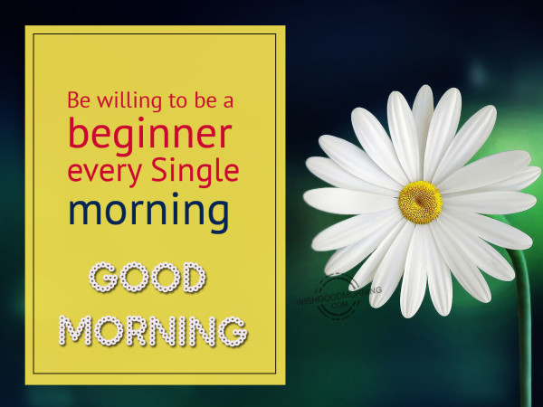 Be Willing To Be A Beginner-wm14