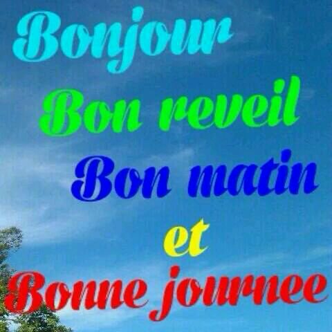 Bon Matin Et Bonne Journee-wm22041