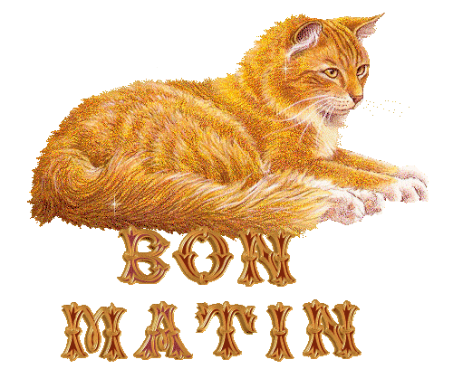 Bon Matin -Golden Cat Image-wm22051