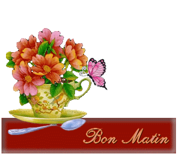 Bon Matin With A Beautiful Butterfly Image-wm22082