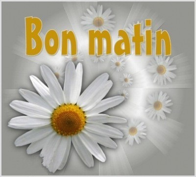 Bon Matin With Beautiful Fresh Flower-wm22084