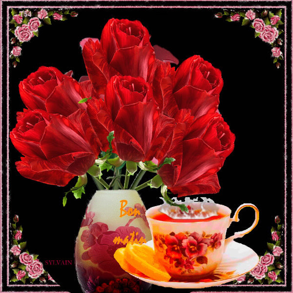 Bon Matin With Beauty Of Roses-wm22085