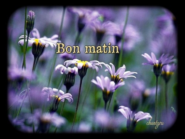 Bon Matin With Flower-wm22087
