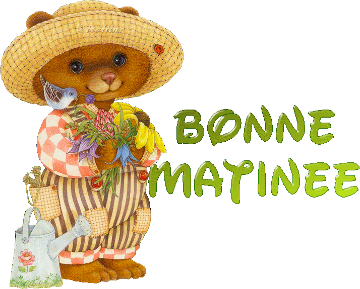 Bon Matinee With Beautiful Teaddy Bear-wm22103