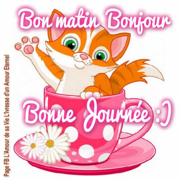 Bonjour And Bon Matin-wm22107