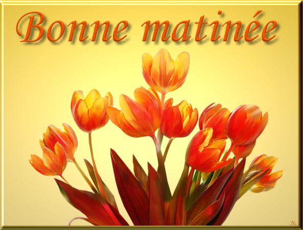 Bonne Matinée With Beautiful Flower-wm22117