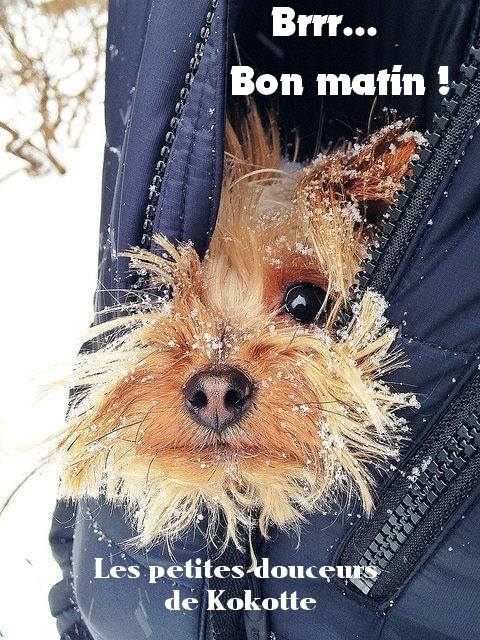 Brrr Bon Matin !-wm22121