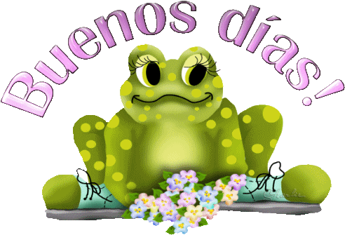 Buenos Dias-Frog Image-wm02089