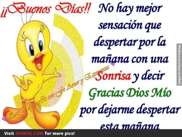 Buenos Dias-Tweety Image-wm02096