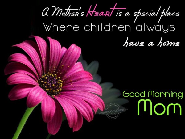 Children Always Have A Home-Good Morning-wg9504