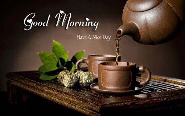 Cup Of Green Tea On Morning -mn1-wm1908