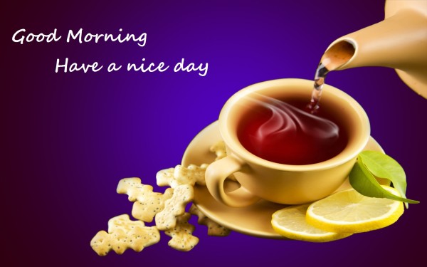 Cup Of Tea In Morning-wg081