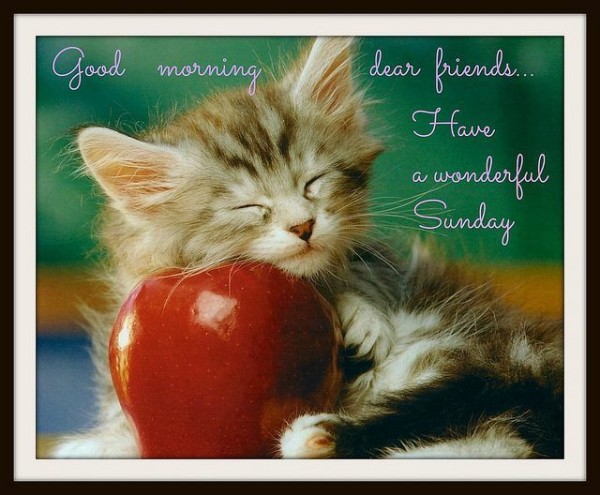 Dear Friend Have A Wonderful Sunday-wg015012