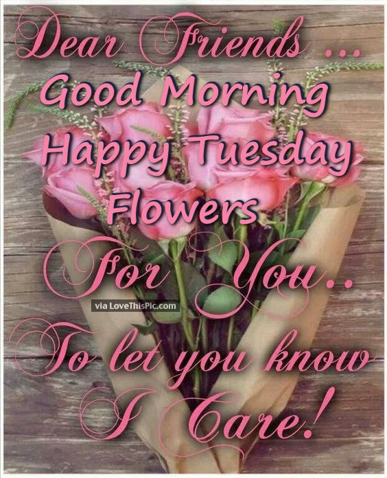 🌹 Good Morning friends, wish you all Blessed & Happy Tuesday! 🌹 :  r/goodmorning