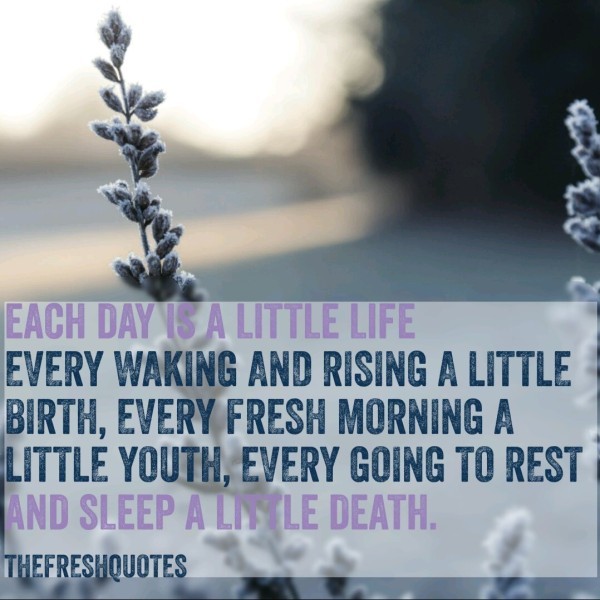 Each Day Is A Little Life-wg3603