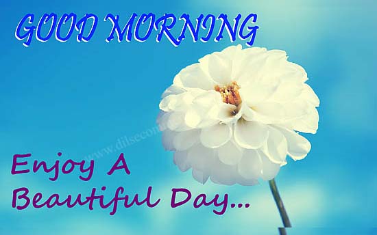 Enjoy A Beautiful Day Good Morning-wg3602