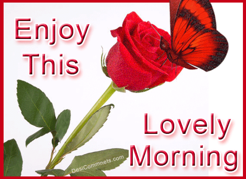 Enjoy This Lovely Morning-wb01112