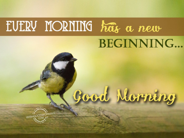 Every Morning Has A New Beginning-d25