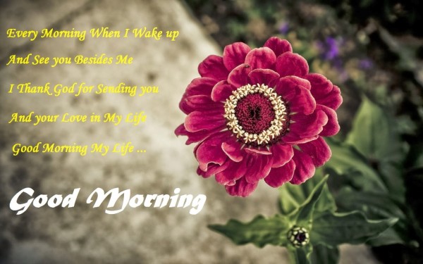 Every Morning I Wake Up !-wg017010