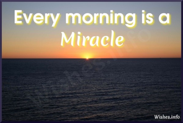 Every Morning Is A Miracle-wb0614