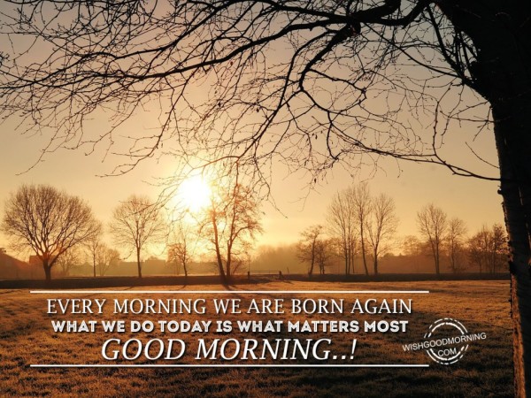 Every morning We Born-wg8113