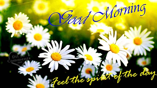 Feel the Spirit Good Morning-wg3603