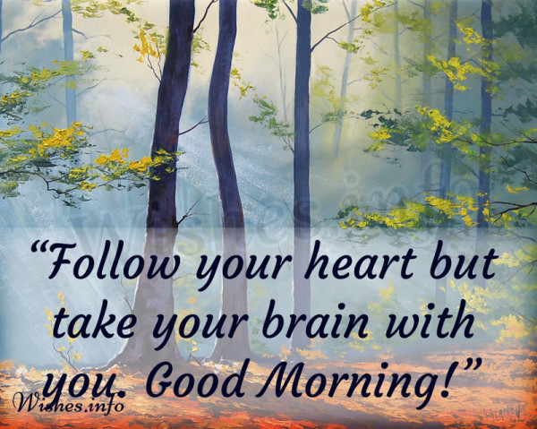 Follow Your Heart Good Morning-wb0617