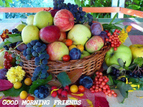 Friends Good Morning To You-wg2501