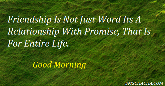 Friendship is Not Just Words-Good Morning-wg8804