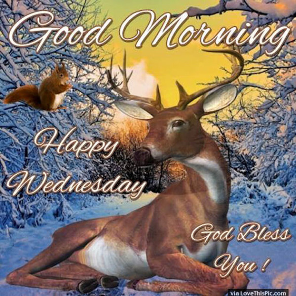God Bless - Good Morning Happy Wednesday-wg0332
