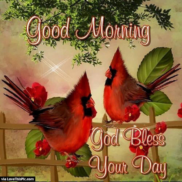 God Bless - Good Morning-wg01615