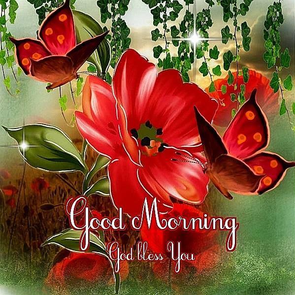 God Bless You Dear - Good Morning-wg03403