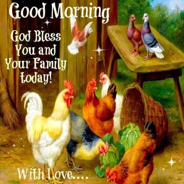 God Bless You-Good Morning-wg36304