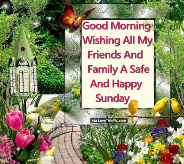 Good Monring Wishing All My Family A Safe Happy Sunday-wg01621