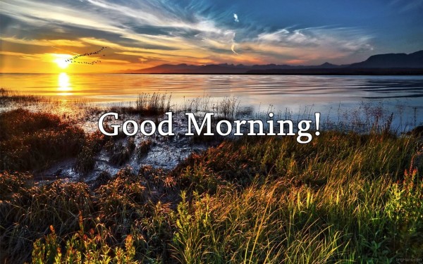 Good Morning - Sunshine Image-wg03405