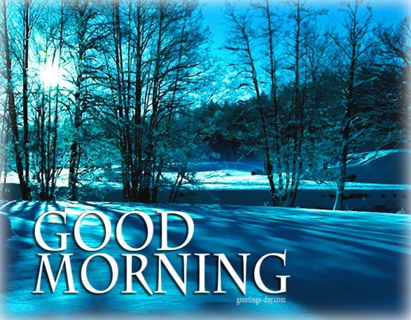 Good Morning - Amazing Image-wg01712