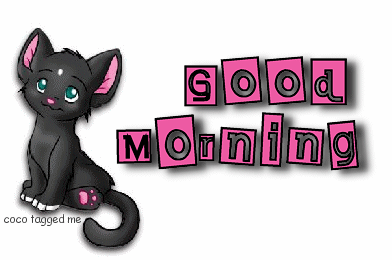 Good Mornng - Animated Cat-wg0541