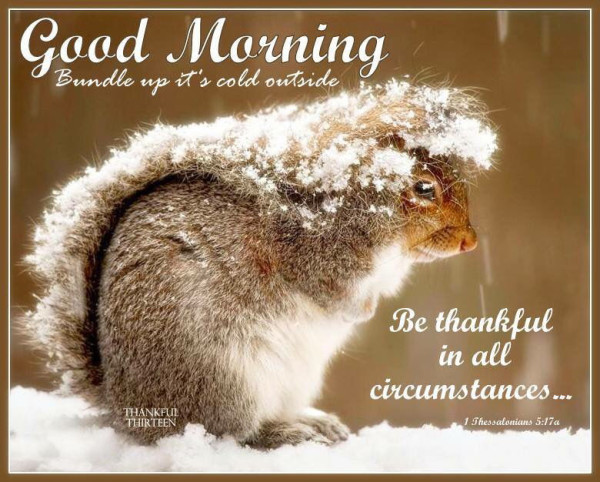 Good Morning - Be Thankful In All Circumstances-wg01622