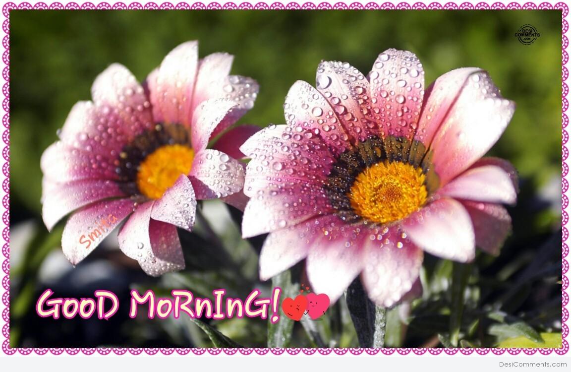 Good Morning – Beautiful Flowers Image